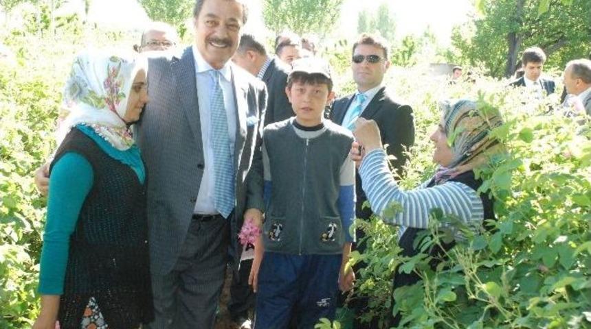 Akil İnsanlar Isparta'da