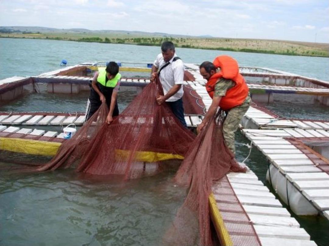 G&ouml;letlerdeki Su Seviyesi Y&uuml;kseldi, Balık&ccedil;ıların Y&uuml;z&uuml; G&uuml;ld&uuml;
