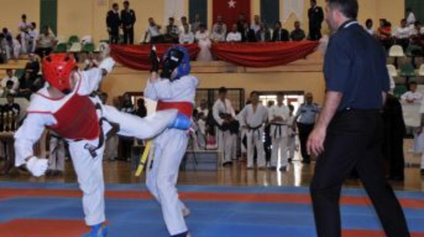 &Uuml;niversite &Ouml;ğrencileri Eskişehir Ormanlarını Inceledi