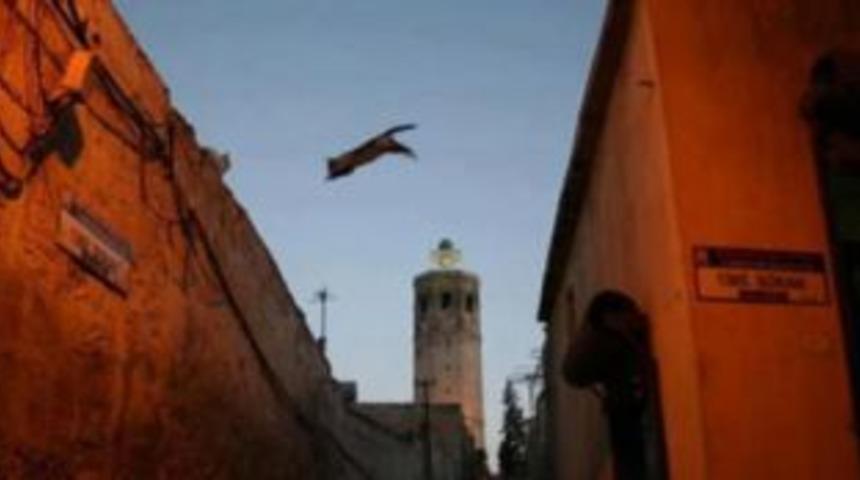 Urfalı Kedinin uzun atlayışı