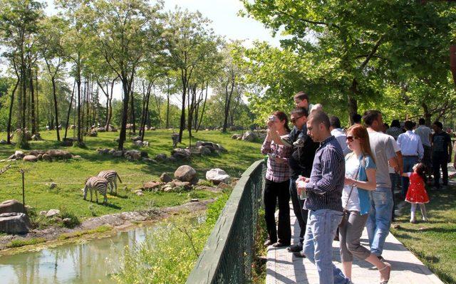 Bursa'da Hayvanat Bahçesine Ziyaretçi Akını