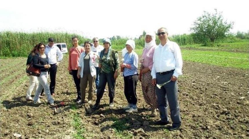 Gönül Elçileri Çiftçiler Gününü Tarlada Kutladı