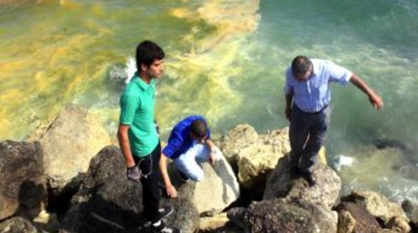 Gemilerden Bırakıldığı Iddia Edilen Atıklar Denizi Kızıla Boyadı