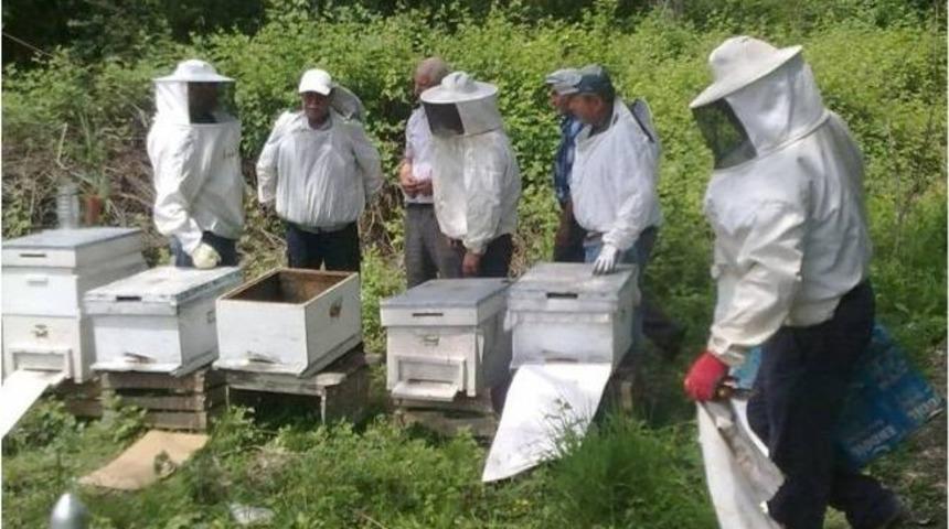Pamukova&rsquo;nın Mekece K&ouml;y&uuml;nde Arıcılık Kursu A&ccedil;ıldı