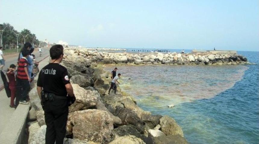 Mersin'de Deniz Y&uuml;zeyinde Oluşan Sarı Tabaka, Vatandaşları Endişelendirdi