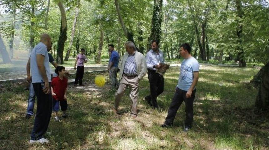 Devrek Ak Parti İl&ccedil;e Başkanlığından &ldquo;piknik Şenliği&rdquo;