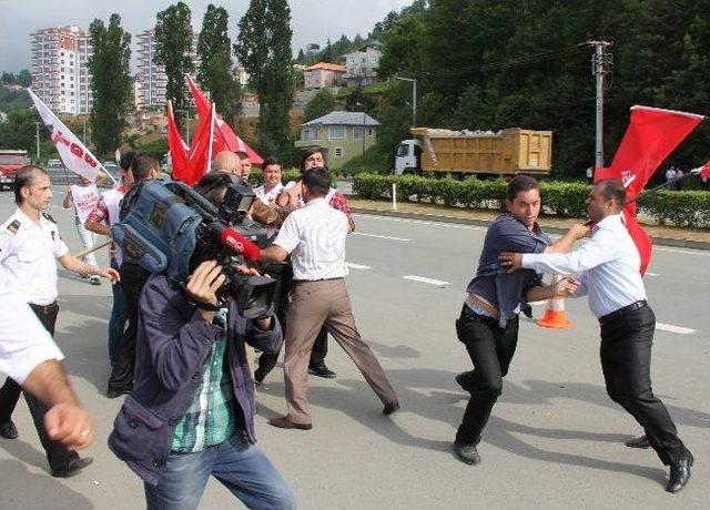 Akil Adamlar Rize'de Çay Topladı