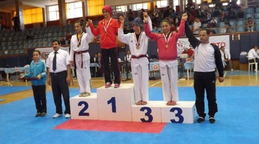 Okullararası Taekwondo T&uuml;rkiye Taekwondo Şampiyonası&rsquo;nda Kastamonu Başarısı