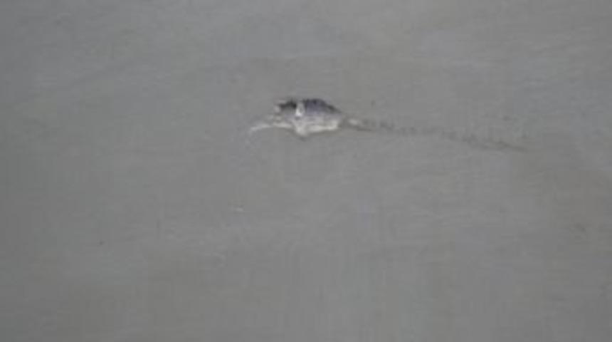 Pompalı T&uuml;fekle Kalabalığın Arasına Daldı