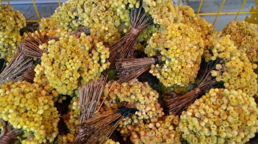 Kurutulmuş Yayla &Ccedil;i&ccedil;ekleri İlgi G&ouml;r&uuml;yor