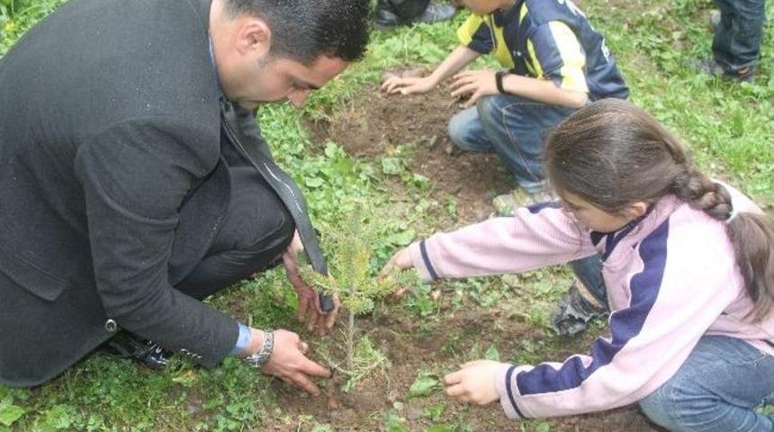 Bah&ccedil;esaray&rsquo;da Fidan Dikimi