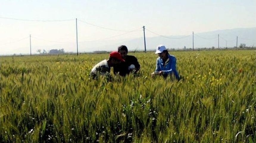 Aydın&rsquo;da S&uuml;ne S&uuml;rveyleri Devam Ediyor