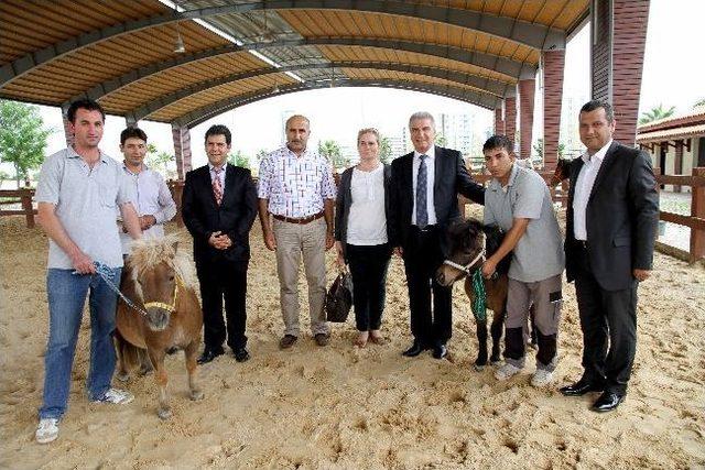 Minik At &ldquo;karşıyaka&rdquo;, Otistik &Ccedil;ocukları Rehabilite Edecek 2