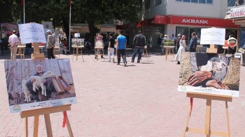 Tarım Ve İnsan Fotoğraf Sergisi A&ccedil;ılışı Yapıldı