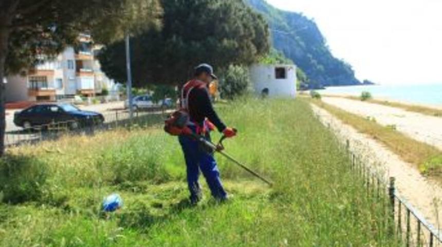 Bartın belediyesi yabani otları temizleniyor