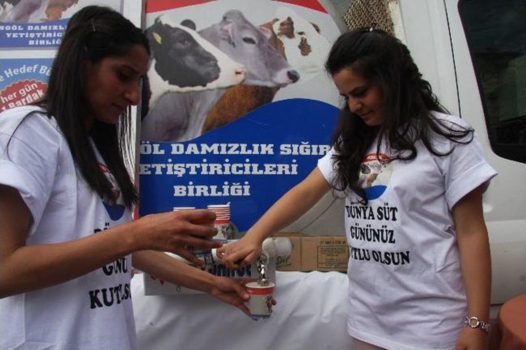 Bing&ouml;l&rsquo;de Bin 500 Litre S&uuml;t Dağıtıldı
