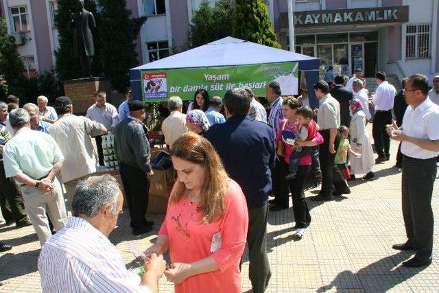 Devrek’te “dünya Süt Günü Etkinliği