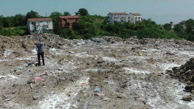 Ak&ccedil;akoca &Ccedil;&ouml;pl&uuml;ğ&uuml; D&uuml;zenli Şekilde İla&ccedil;lanıyor 1