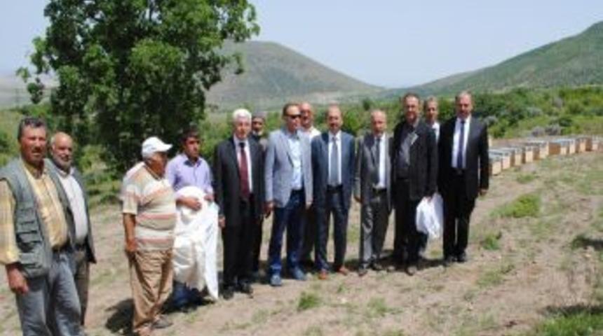 &Uuml;&ccedil;kuyu K&ouml;y&uuml;nde Organik Bal &Uuml;retilecek