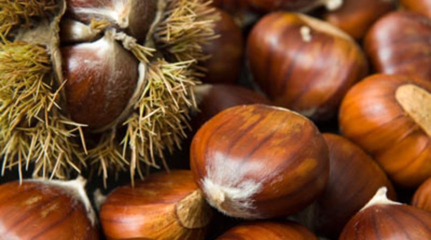 Bu yiyecekleri birlikte t&uuml;ketin