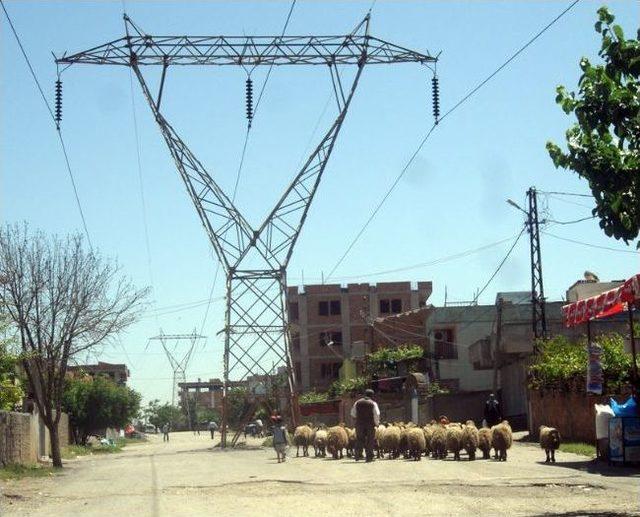 Sokak Ortasındaki Direğe S&uuml;r&uuml;c&uuml;lerden Tepki 1