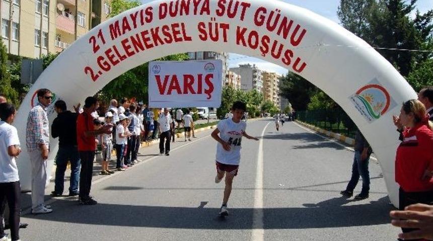 21 Mayıs D&uuml;nya S&uuml;t G&uuml;n&uuml; Etkinlikleri