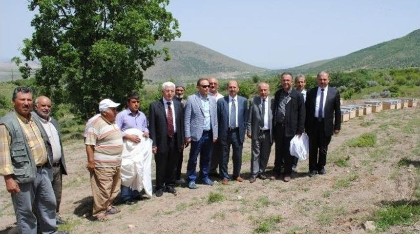 Karaman'da Arıcılara Organik Arılı Kovan Dağıtıldı