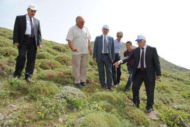 Karaman'da Arıcılara Organik Arılı Kovan Dağıtıldı