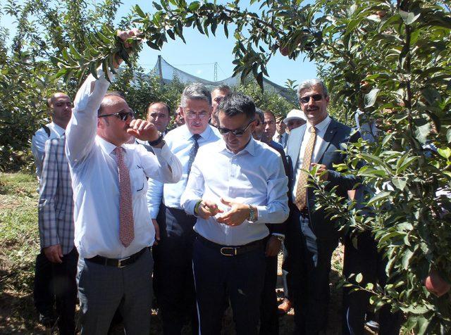 Bakan Pakdemirli'den köylülerin meyve bahçesi projesine tam not