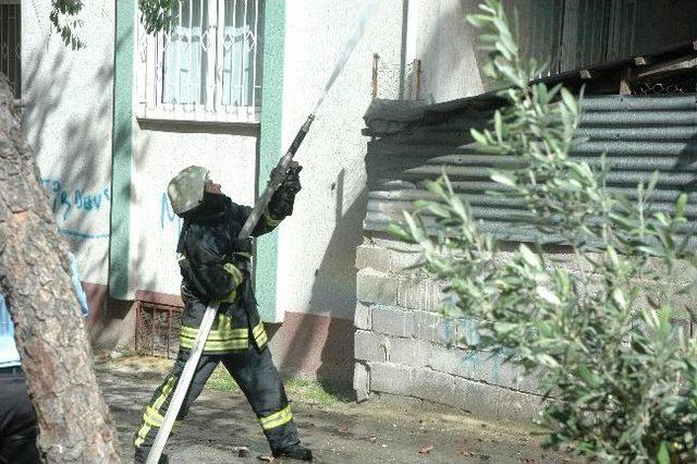 Kekik Sapları İle Birlikte &Ccedil;atı Katı Da Yandı 1