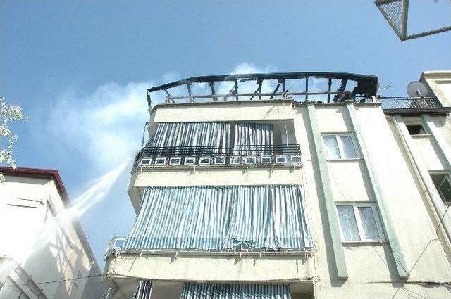 Kekik Sapları İle Birlikte &Ccedil;atı Katı Da Yandı 3