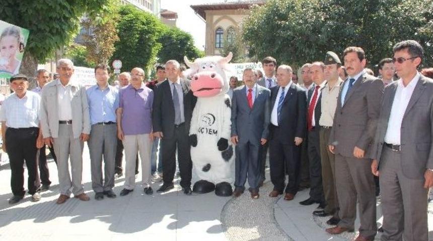 D&uuml;nya S&uuml;t G&uuml;n&uuml;&rsquo;ne &Ccedil;orum&rsquo;da Renkli Kutlama