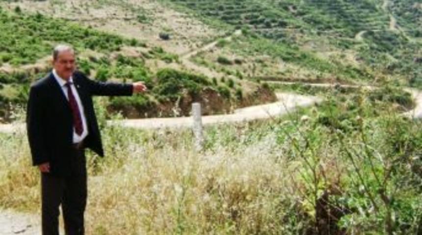 Kayak&ouml;y&rsquo;&uuml;n Alternatif &Uuml;r&uuml;n&uuml; &Ccedil;amfıstığı Olacak