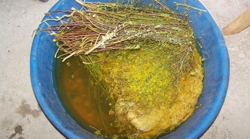 K&ouml;k Boyaları Kendileri Hazırlıyorlar