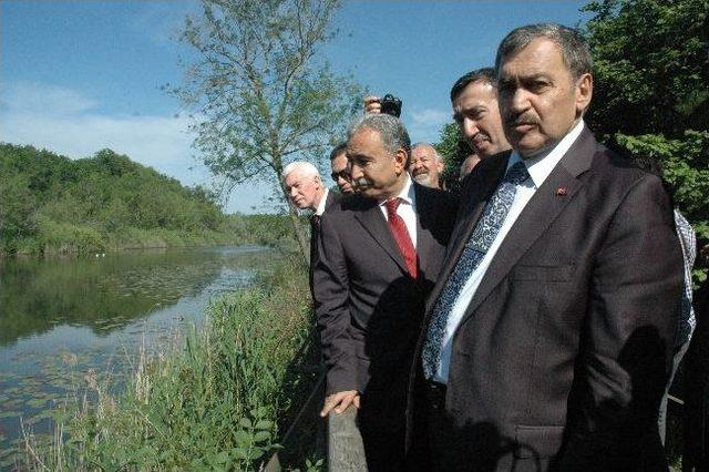 Acarlar Longozu İçin Çalışmalar Başladı