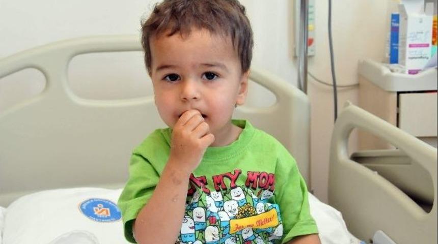 İki Haftada Altı &Ccedil;ocuğa Organ Nakli Yapıldı
