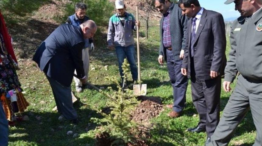 Gediz'de G&uuml;mele İlkokulu &Ouml;ğrencileri 60 Adet Ağa&ccedil; Fidanı Dikti