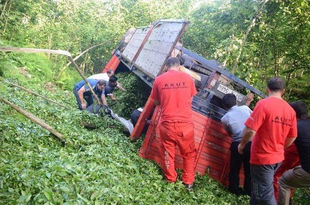 Rize'de çay yüklü kamyon şarampole yuvarlandı: 4 ölü