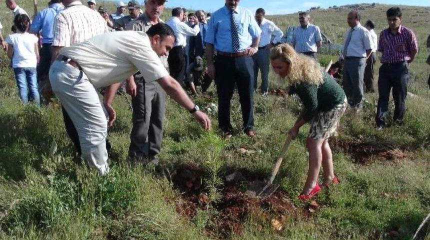 Tapu Ve Kadastro&rsquo;nun Kuruluşunun 166. Yılı Etkinlikleri