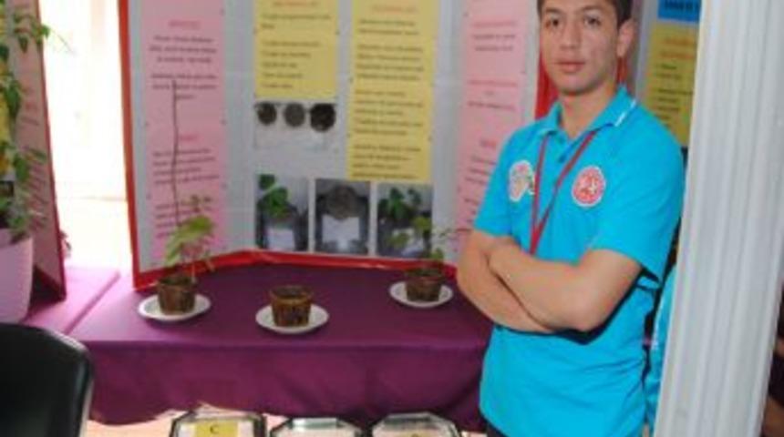 Kur'an-ı Kerim Dinletilen Bitki 3 Kat Daha Fazla B&uuml;y&uuml;d&uuml;