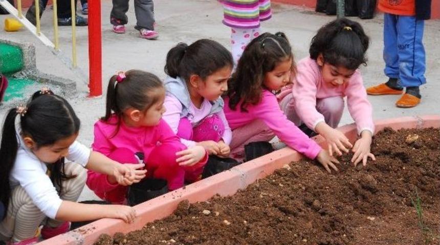 &Ccedil;ukurova Kaymakamlığı&rsquo;ndan "benim Fidanım" Projesi