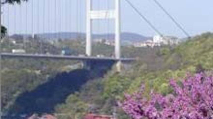 Boğazda Erguvan Keyfi