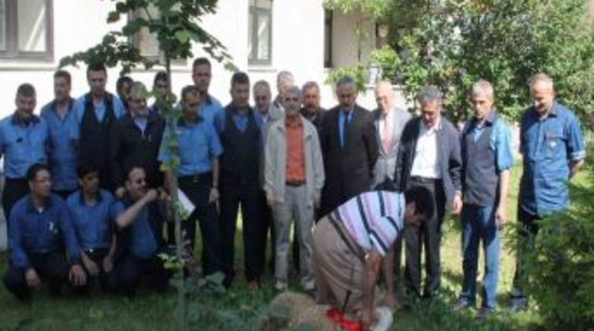 Ptt&rsquo;den Kazalara Kurbanlı &Ouml;nlem