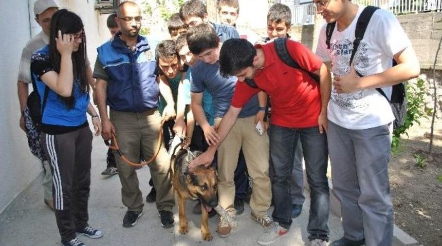 &lsquo;lord&rsquo; Zulaları Anında Buldu