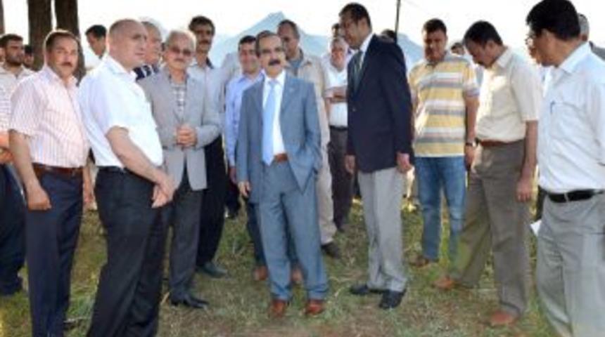 Adana İl &Ouml;zel İdaresi, 'k&ouml;y Yollarını Asfaltlama Seferberliği' Başlattı