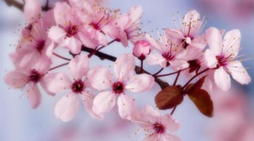 T&uuml;rkiye genelinde sıcaklar 7 derece artacak