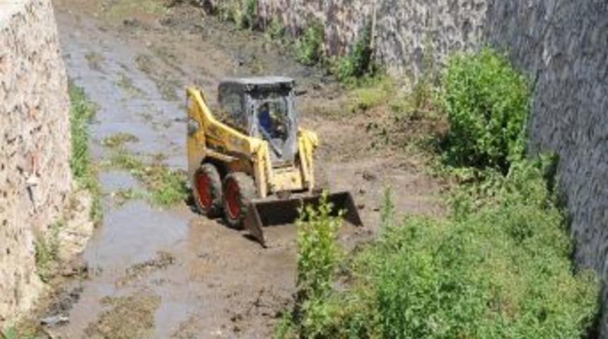 Başiskele'de Sazlık, Kum Ve &Ccedil;akıl Taşları Temizleniyor