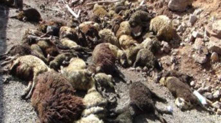 &Ccedil;ermik'te K&uuml;&ccedil;&uuml;kbaş Hayvan Y&uuml;kl&uuml; Kamyon Devrildi