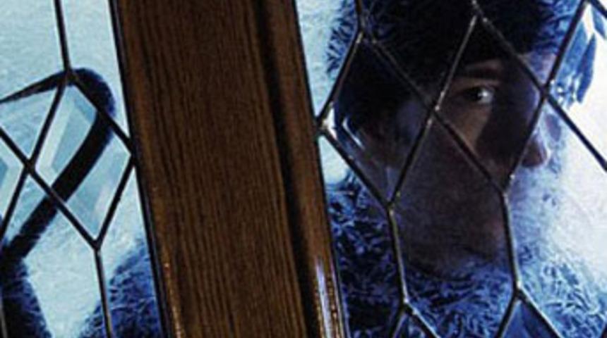 Hırsızlığın kitabını yazdı