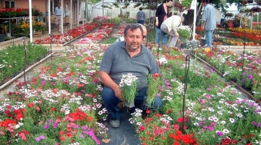 Makine M&uuml;hendisiydi, &Ccedil;i&ccedil;ek&ccedil;i Oldu